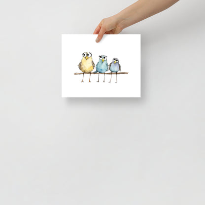 Cute And Crazy Birds Wall Art