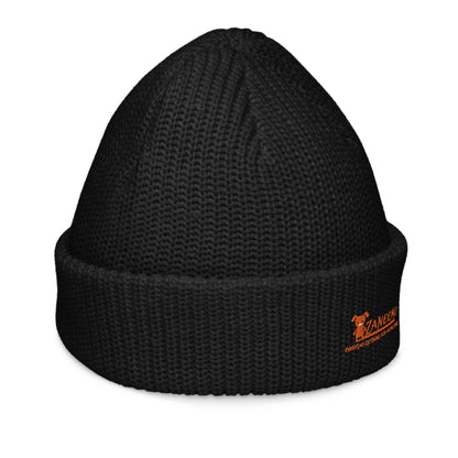 Zaneemo Logo Fisherman Beanie